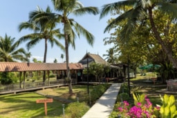 キンラム・キンディー