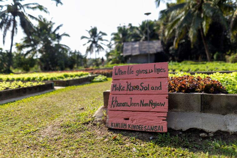 キンラム・キンディー