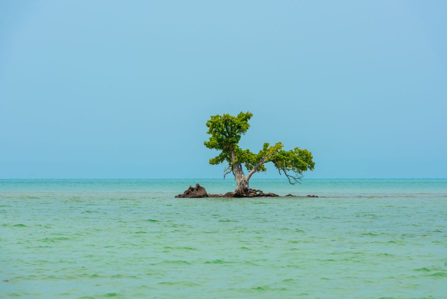 カイ・フアロ島