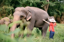 タイ北部・チェンマイでワーケーションをおすすめする5つの理由