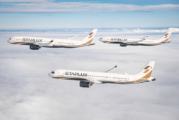 【航空会社】話題のエアライン「スターラックス航空」で行くチェンマイ