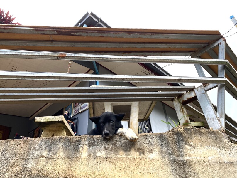 バーン・パーラーイ