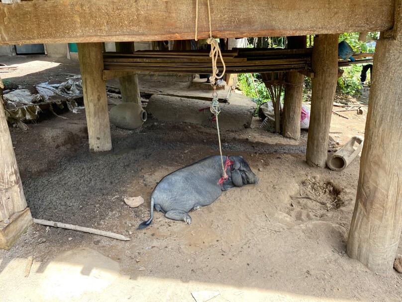 カレン族の村 (ドイ・インタノン)