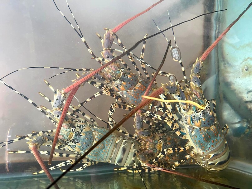 チャオレー・ホアヒン