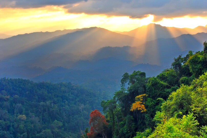 チャアム（ペッチャブリー）