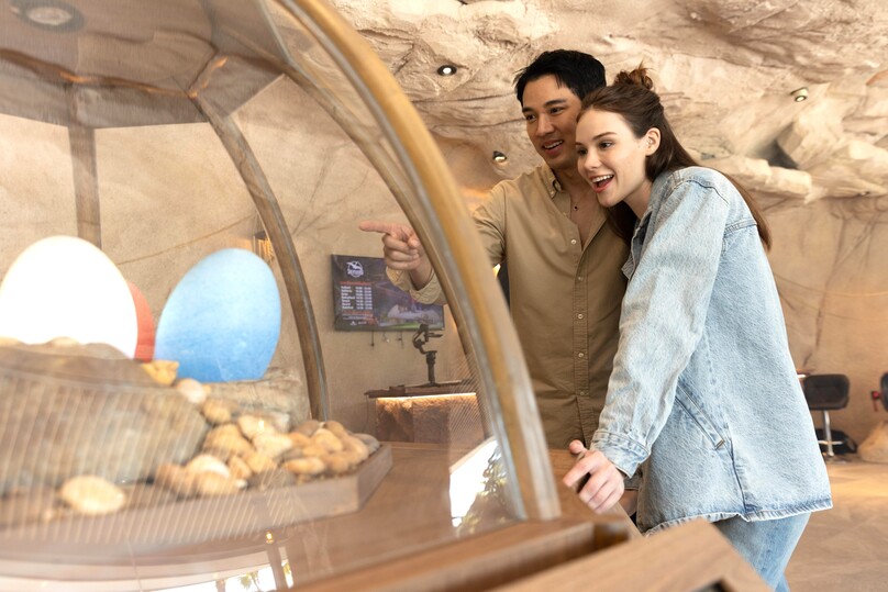 スカイフライヤーズ