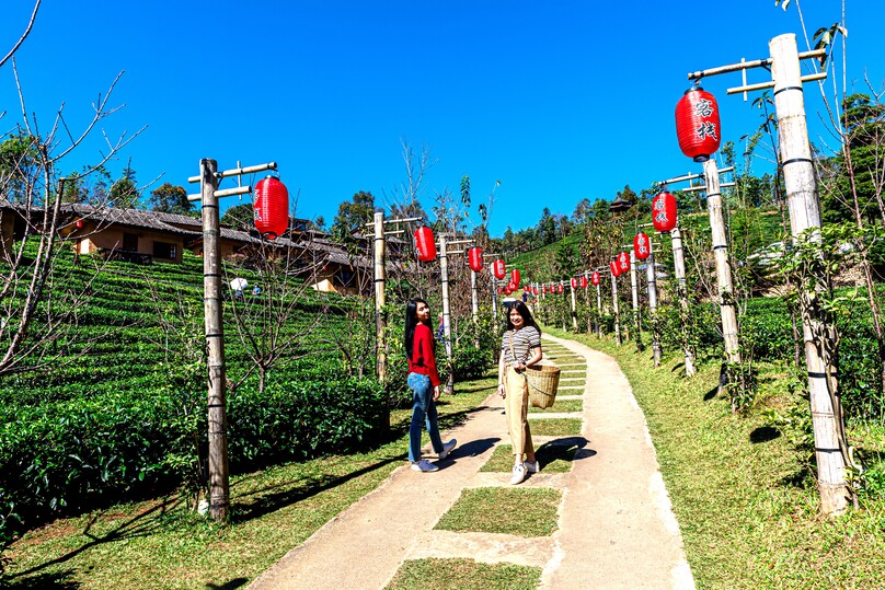 リー・ワイン・ラック・タイ・リゾート