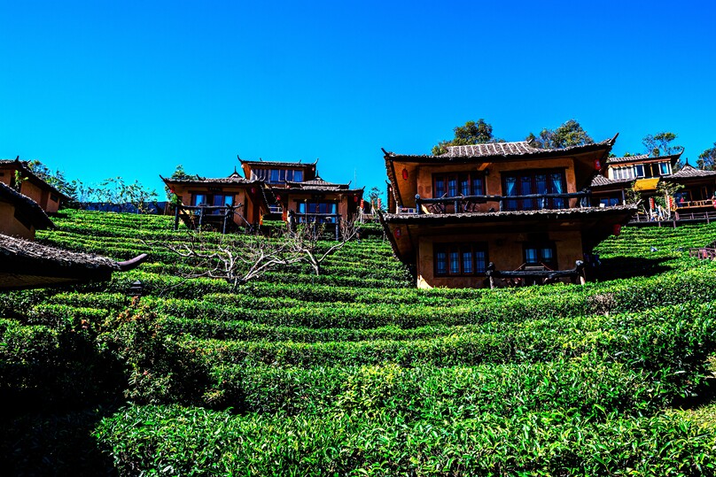 リー・ワイン・ラック・タイ・リゾート