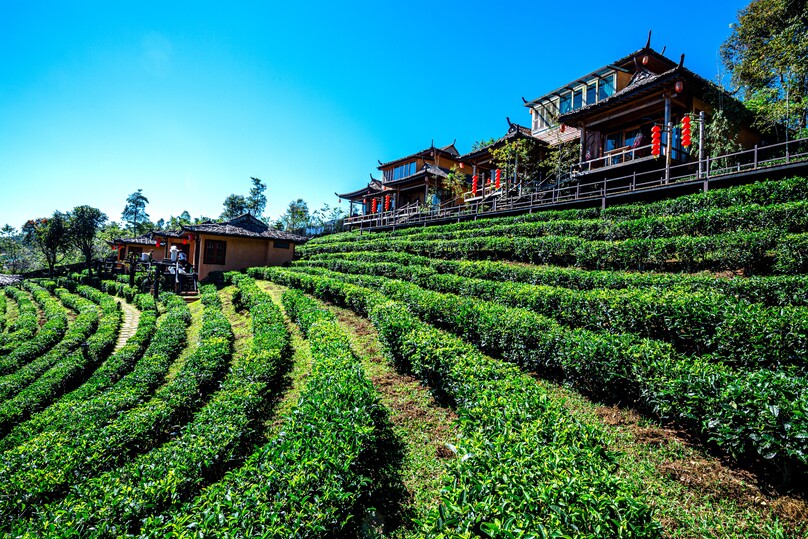 バーン・ラック・タイ