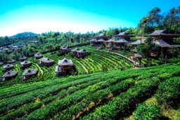 リー・ワイン・ラック・タイ・リゾート