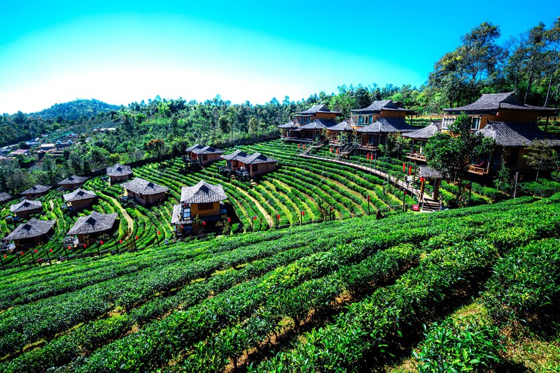 リー・ワイン・ラック・タイ・リゾート