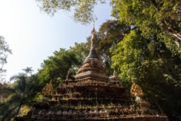 ワット・パーラート