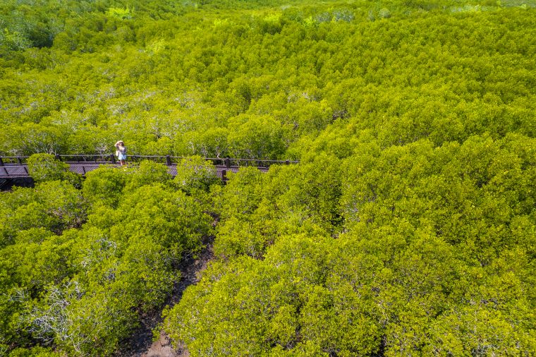 プラーンブリー森林公園