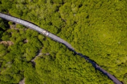 プラーンブリー森林公園