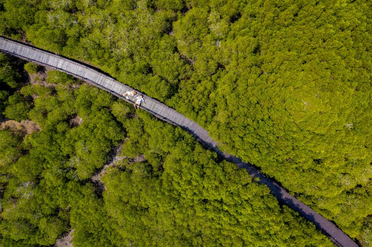 プラーンブリー森林公園