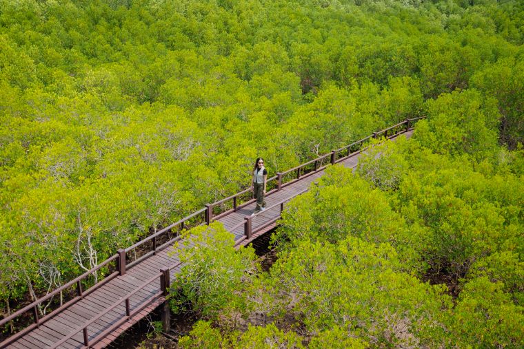 プラーンブリー森林公園