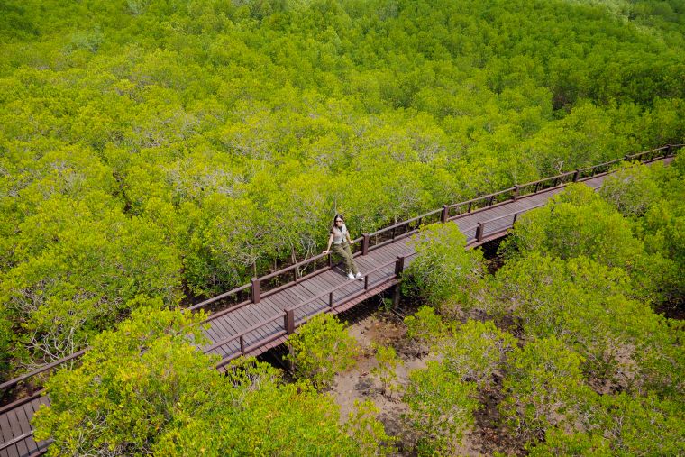 プラーンブリー森林公園