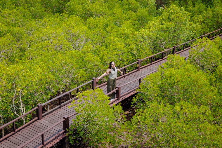 プラーンブリー森林公園