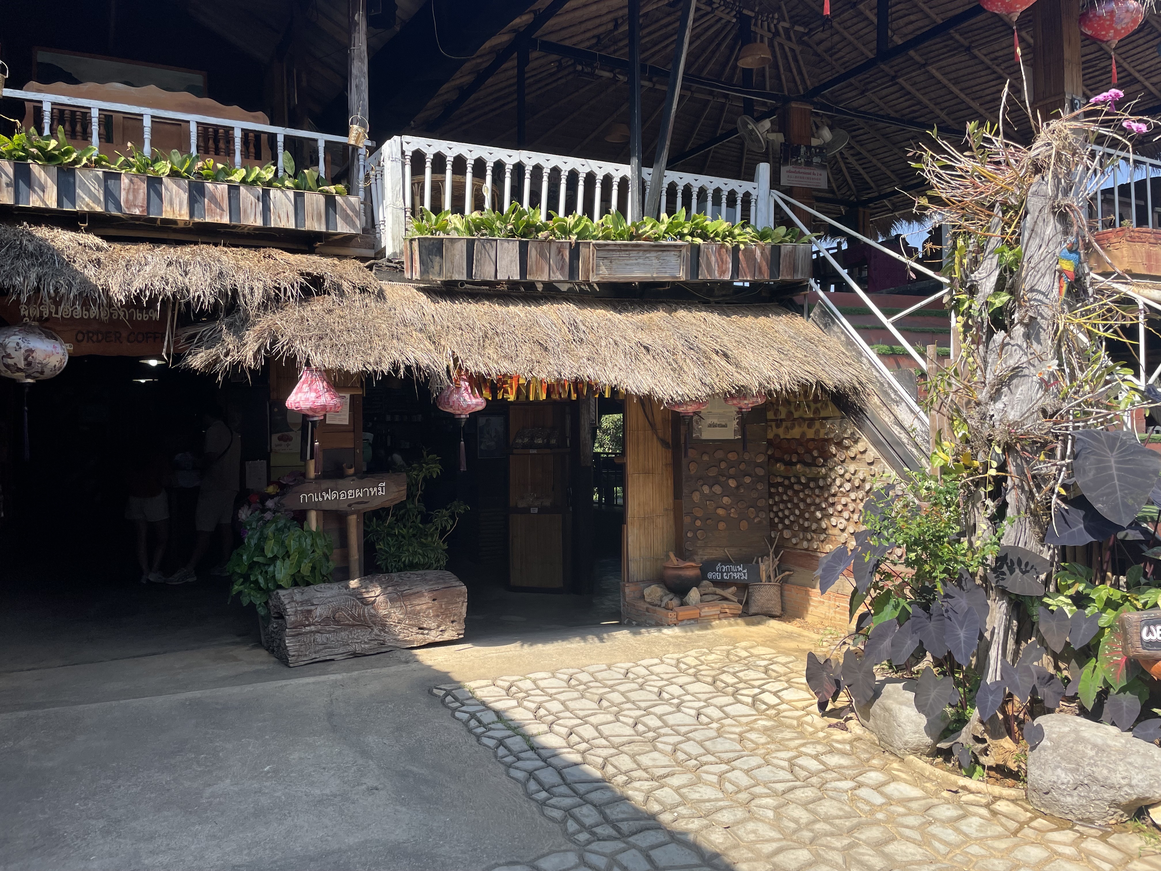 ドイ・パーミー・コーヒー