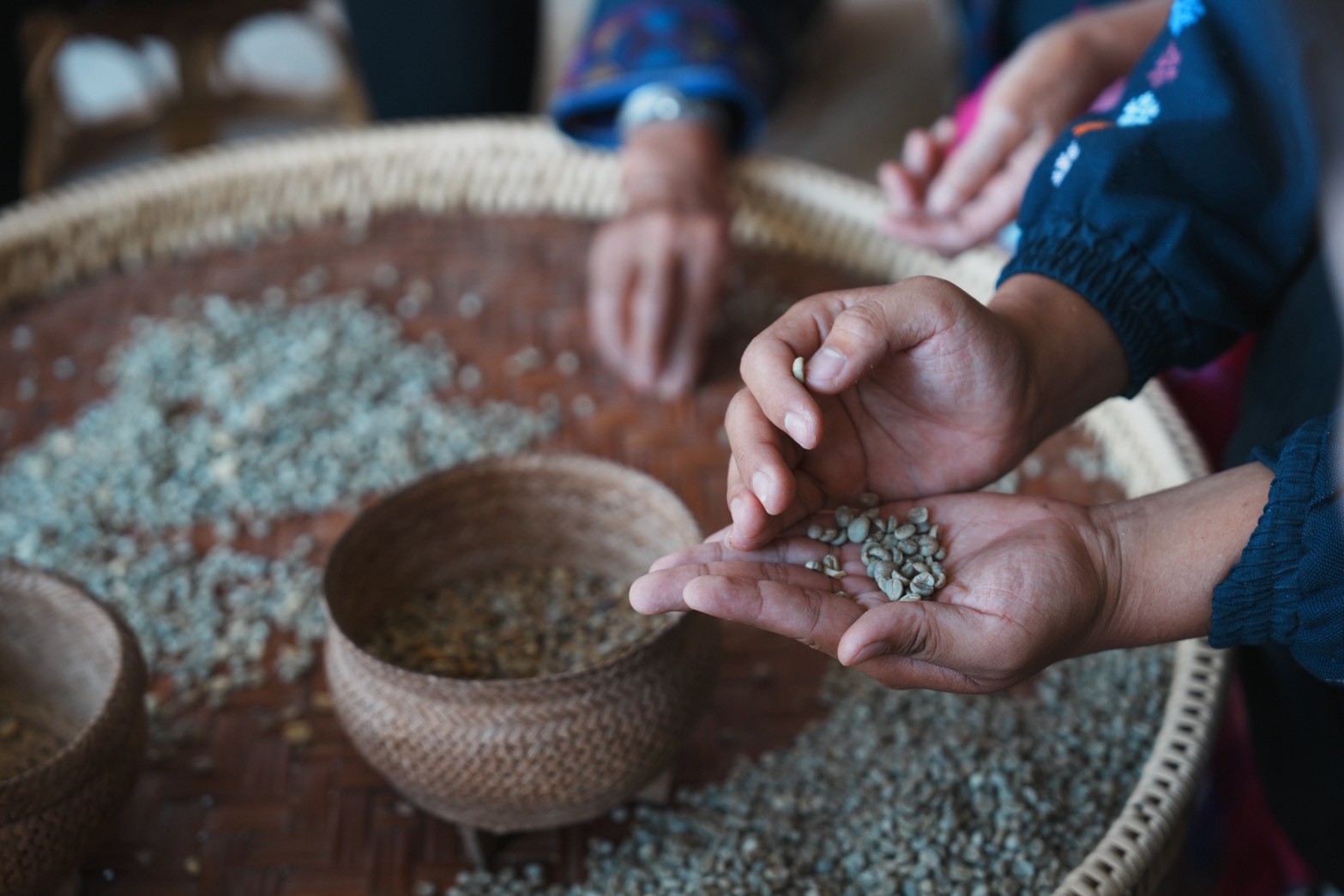 ドイ・パーミー・コーヒー