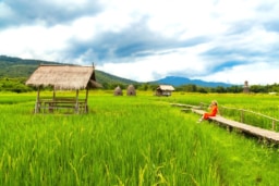 フアイ・トゥン・タオ