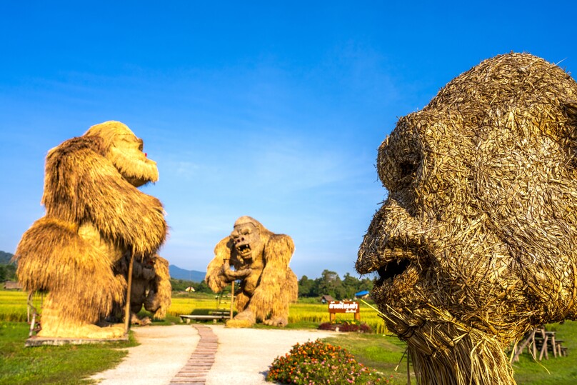 フアイ・トゥン・タオ