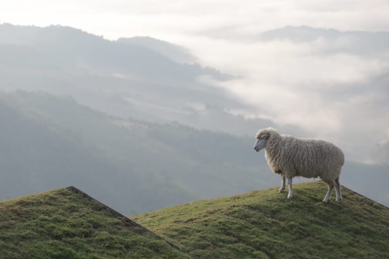 アカ・ファームビル