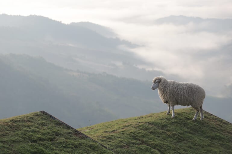 アカ・ファームビル
