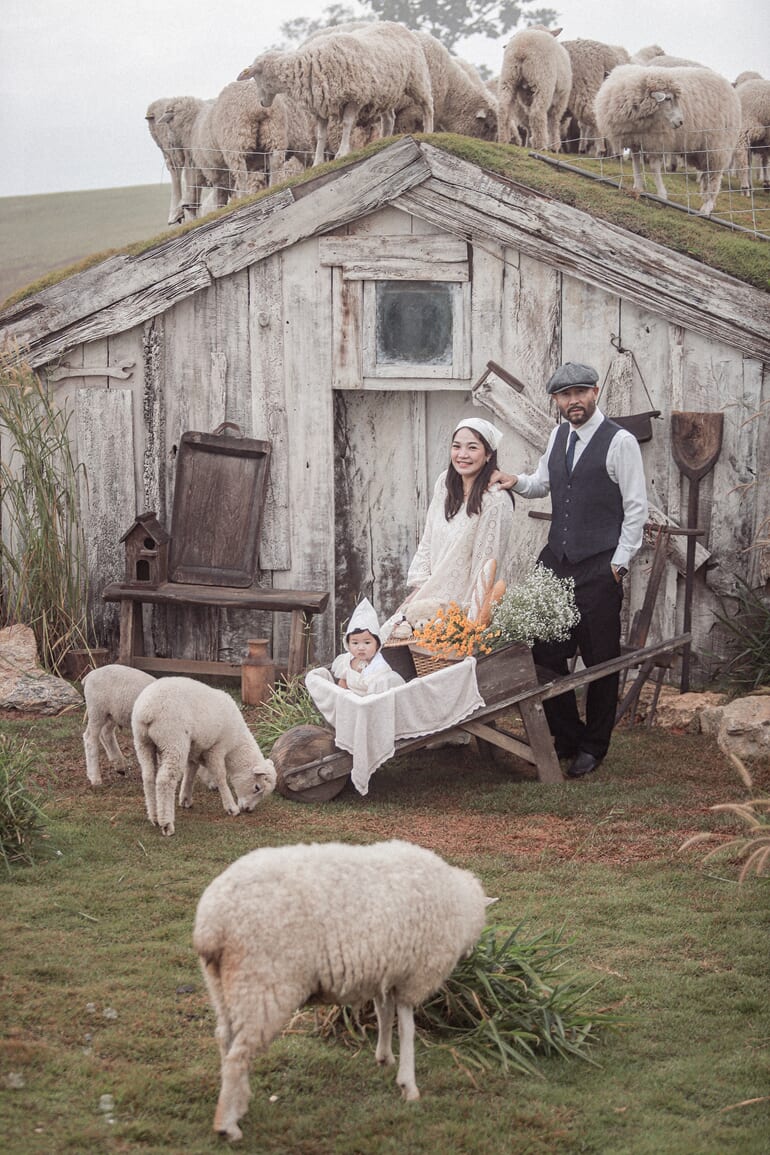 アカ・ファームビル