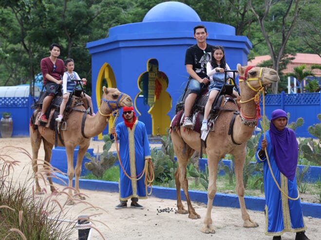 キャメル・リパブリック・チャアム