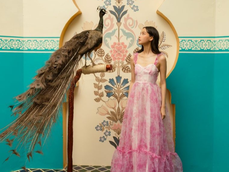 キャメル・リパブリック・チャアム