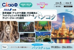 【旅行】ANAで行く！HIS世界遺産アユタヤ半日観光とフォトジェニック半日観光ツアー＆ディナークルーズ！バンコク4日間