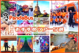 【現地ツアー】「パンダバス」新プロモコード｜おすすめツアー5選｜聖地巡礼ツアーなど