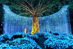 ナサッター公園