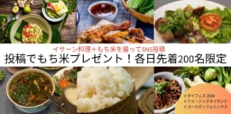 【東京】SNS投稿でもち米GET～タイ音楽の最高峰を渋谷で体感！「第26回タイフェスティバル東京」特別連動キャンペーン